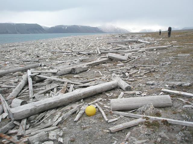 gipsdalen_19thjuly 359.jpg - Contrainte : le bois est ramassé sur la plage située à 500 m du camp. Avantage : le bois échoué (en provenance de Sibérie) est en quantité importante.